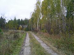 Синчигуры 001